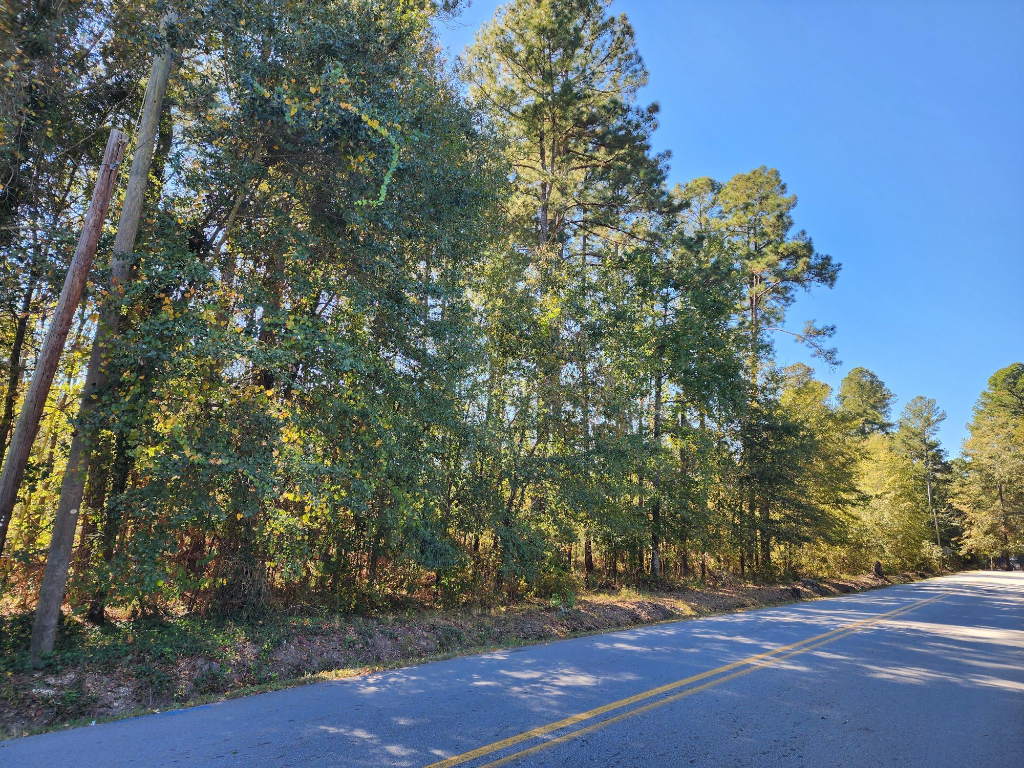 0 Howard Street Wrens, GA 30833 - Photo 3 of 6 20251022_130110
