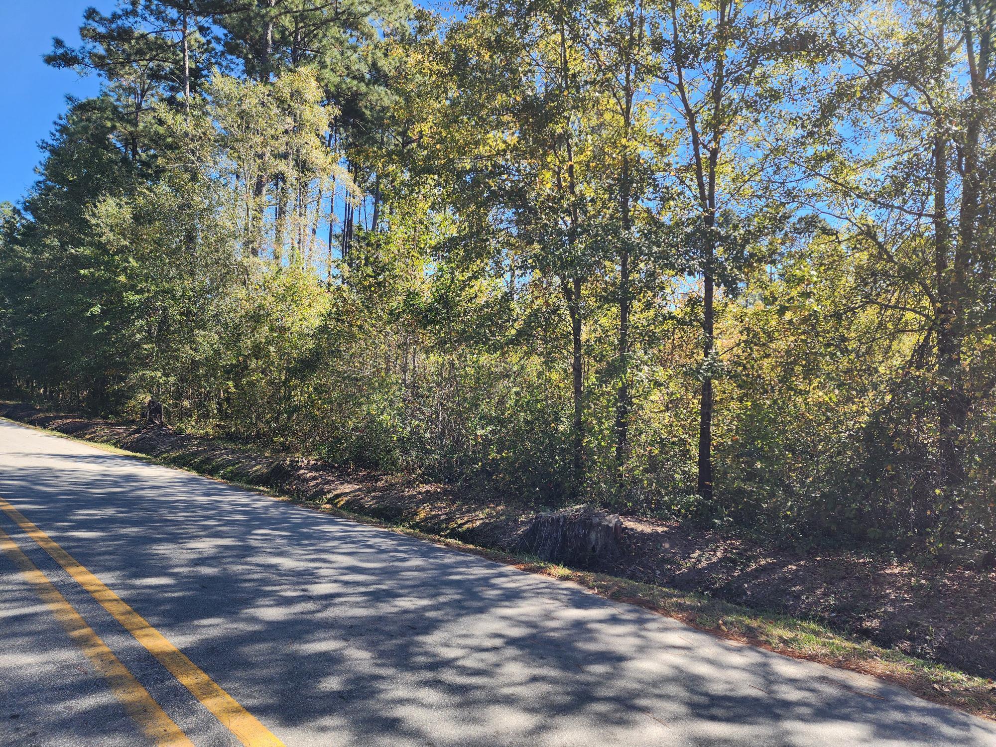 0 Howard Street Wrens, GA 30833 - Photo 4 of 6 20251022_130152