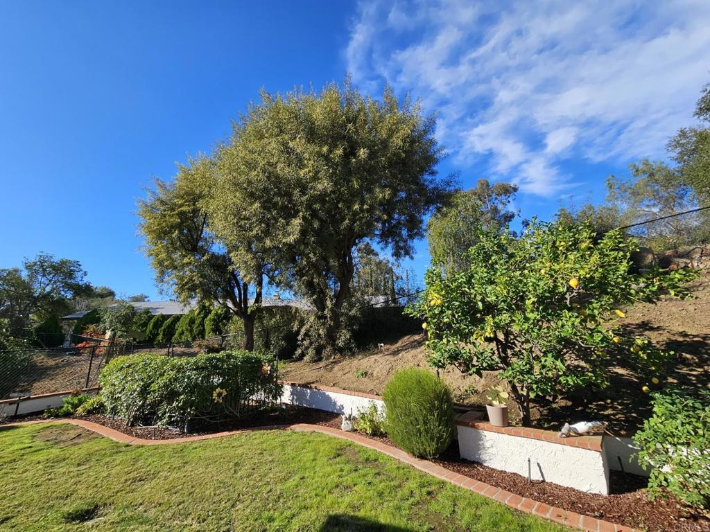 28124 Mountain Meadow Road Escondido, CA 92026 - Photo 26 of 31 a view of a garden