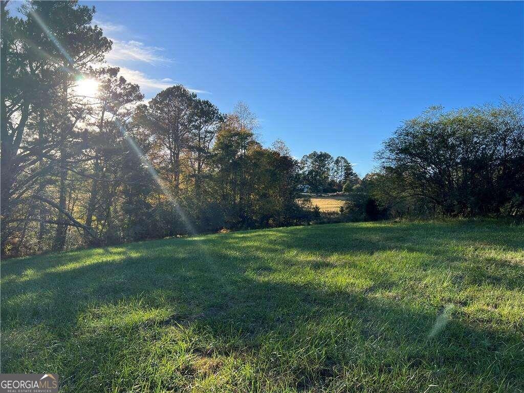 1120 Long Road Ball Ground, GA 30107 - Photo 1 of 1 a tall tree in middle of green field