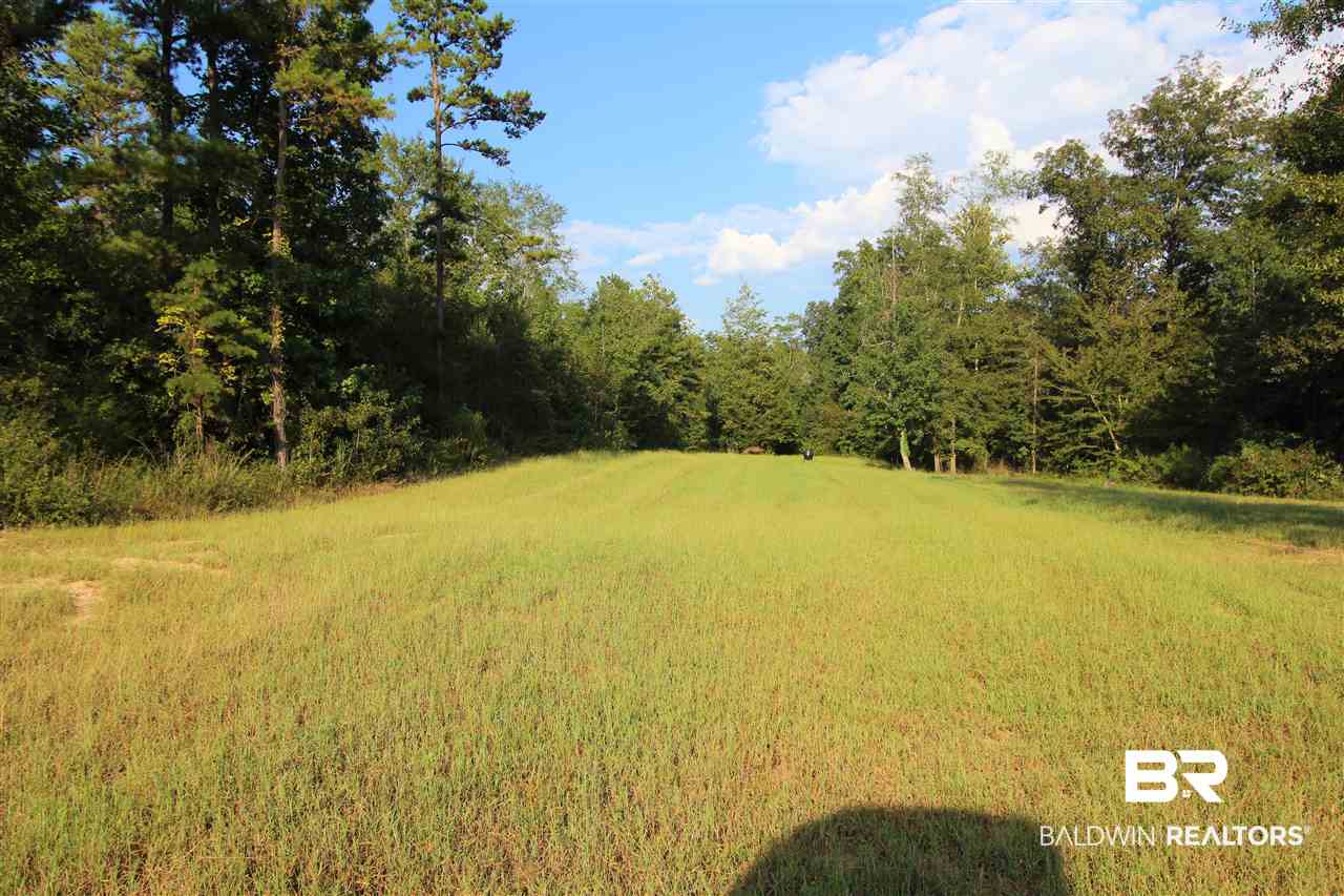 794 Dry Lake Road Luverne, AL 36049 - Photo 10 of 48 Food Plot