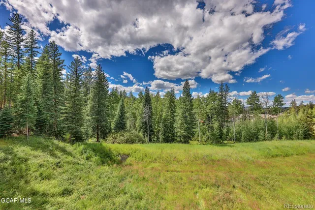 a view of a yard with flower plants and wooden fence