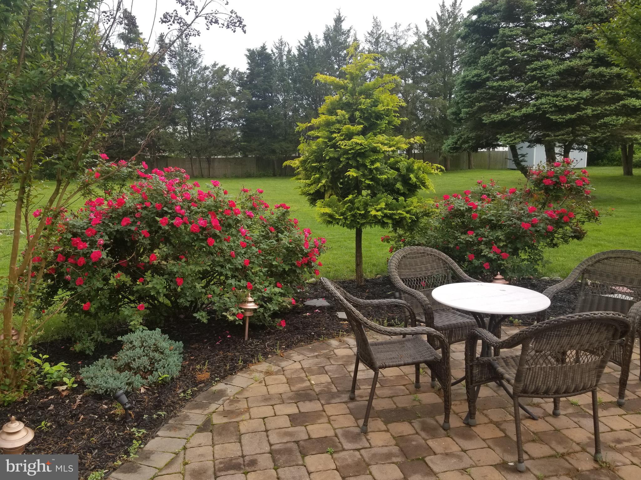 349 Johnson Road Sicklerville, NJ 08081 - Photo 29 of 34