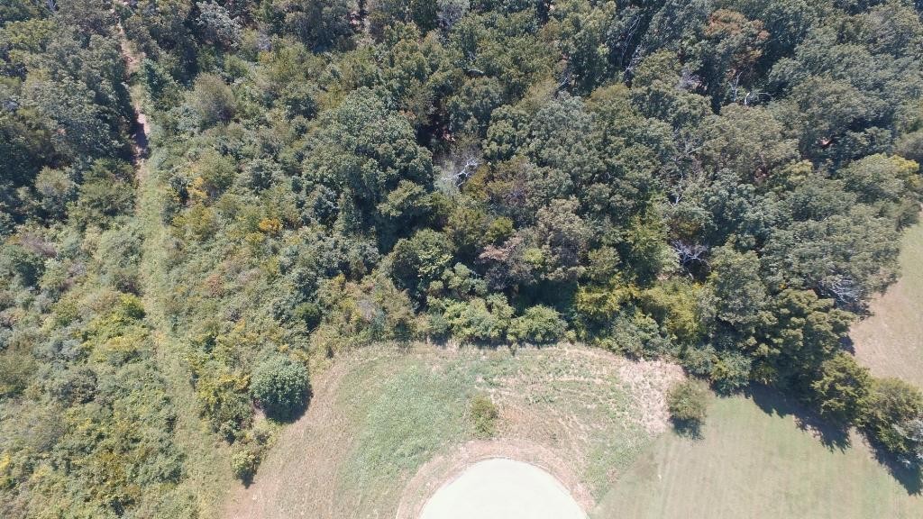 0 Lot Road Sweetwater, TN 37874 - Photo 6 of 11 Gallery Image 6