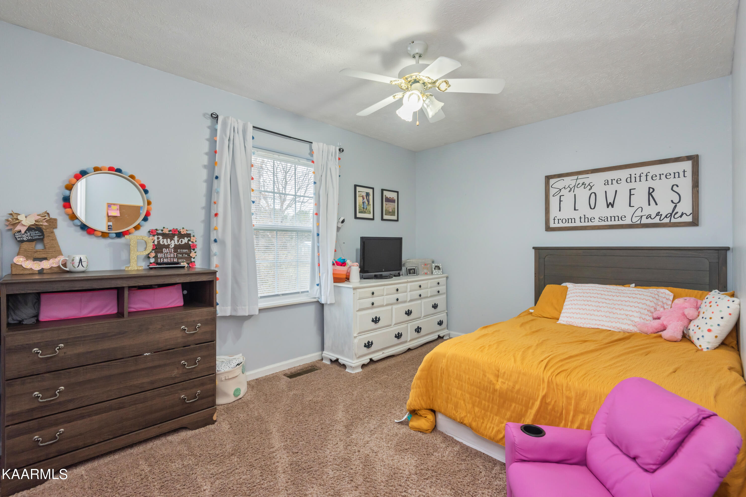 4916 Shipe Road Corryton, TN 37721 - Photo 17 of 32 4916 Shipe Rd