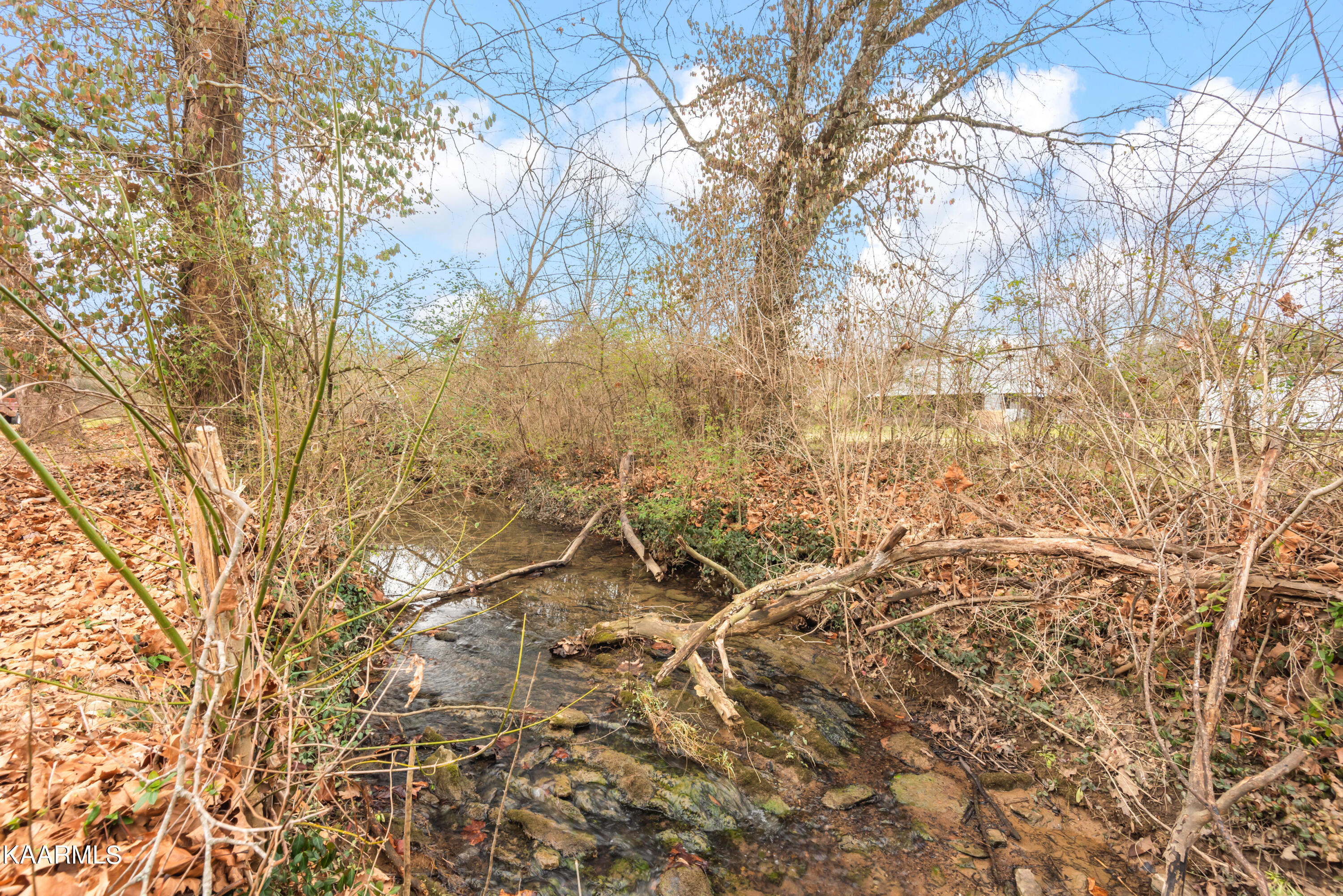 4916 Shipe Road Corryton, TN 37721 - Photo 29 of 32 4916 Shipe Rd-27