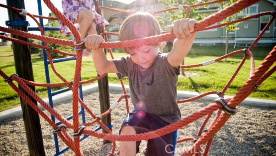 24536 Acadia Drive Corona, CA 92883 - Photo 40 of 40