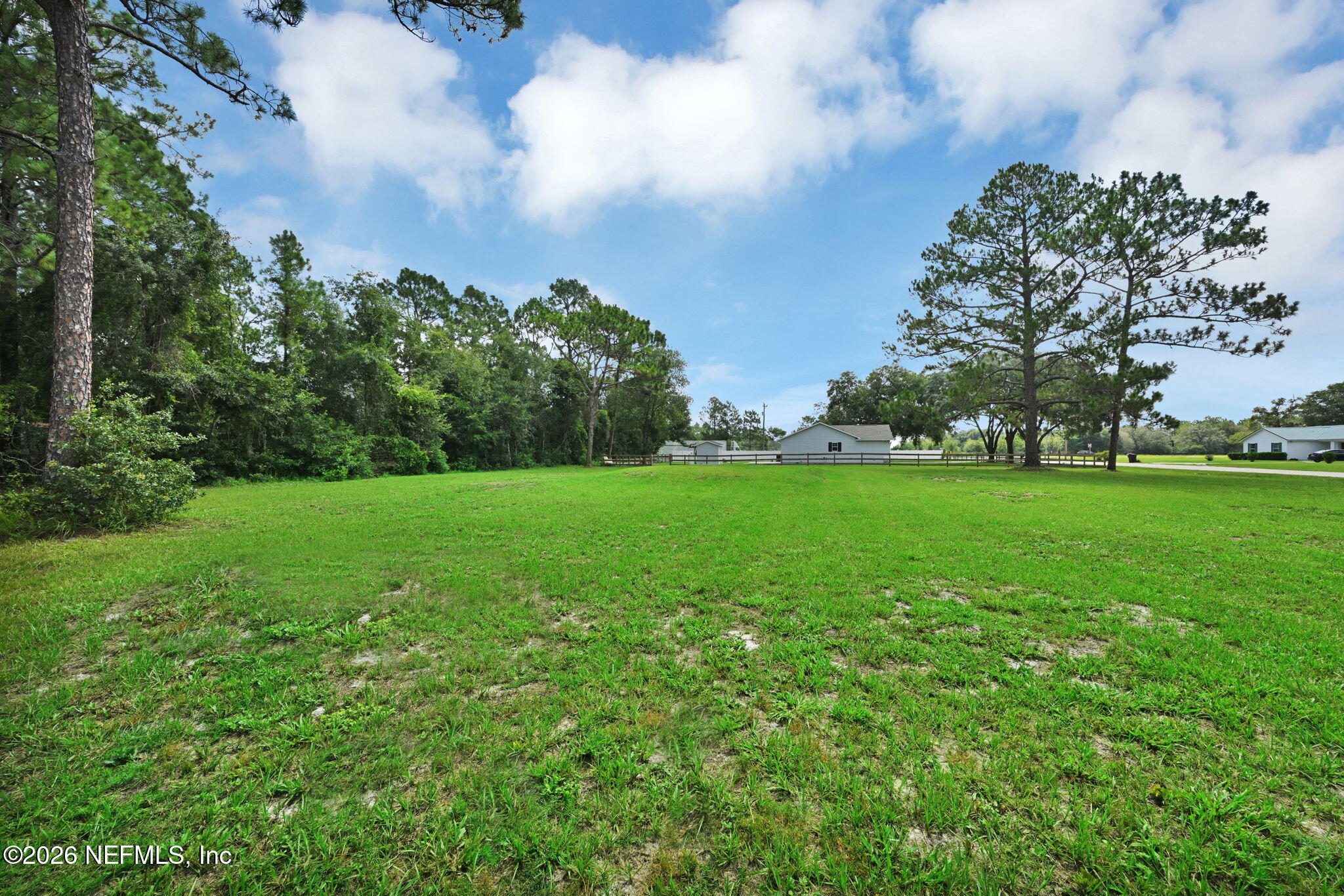 100 Jack Road Palatka, FL 32177 - Photo 34 of 40 Side Yard