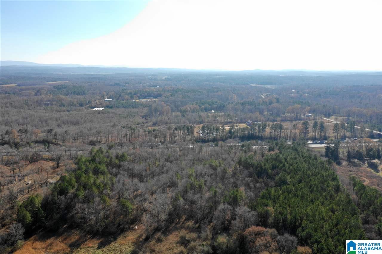 885 County Line Road West, Unit 11 ACRES Eastaboga, AL 36260 - Photo 6 of 17