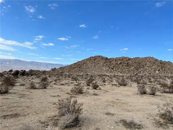 a view of a dry yard