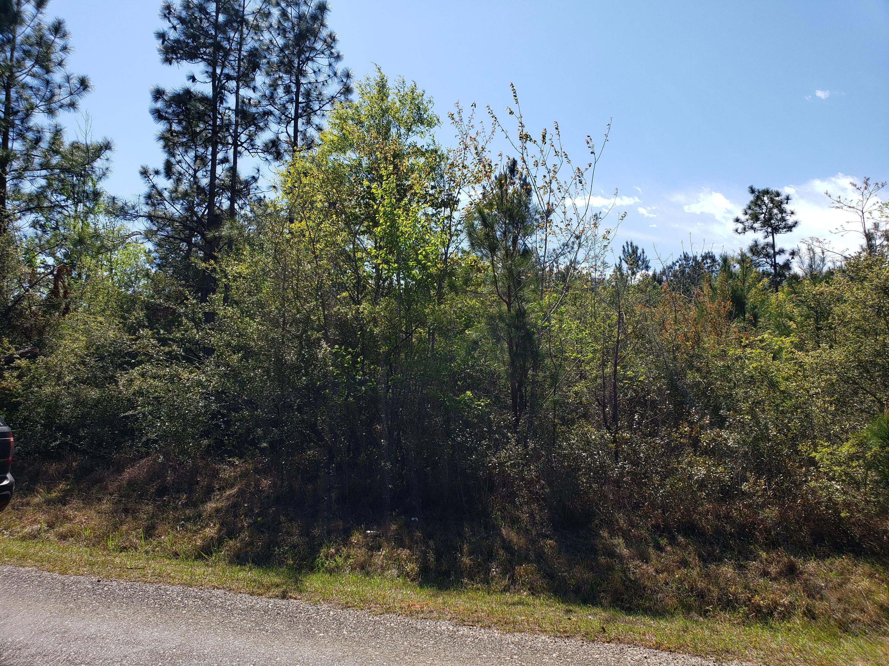 0 Baxterville Road Lumberton, MS 39455 - Photo 1 of 3 20190401_144222