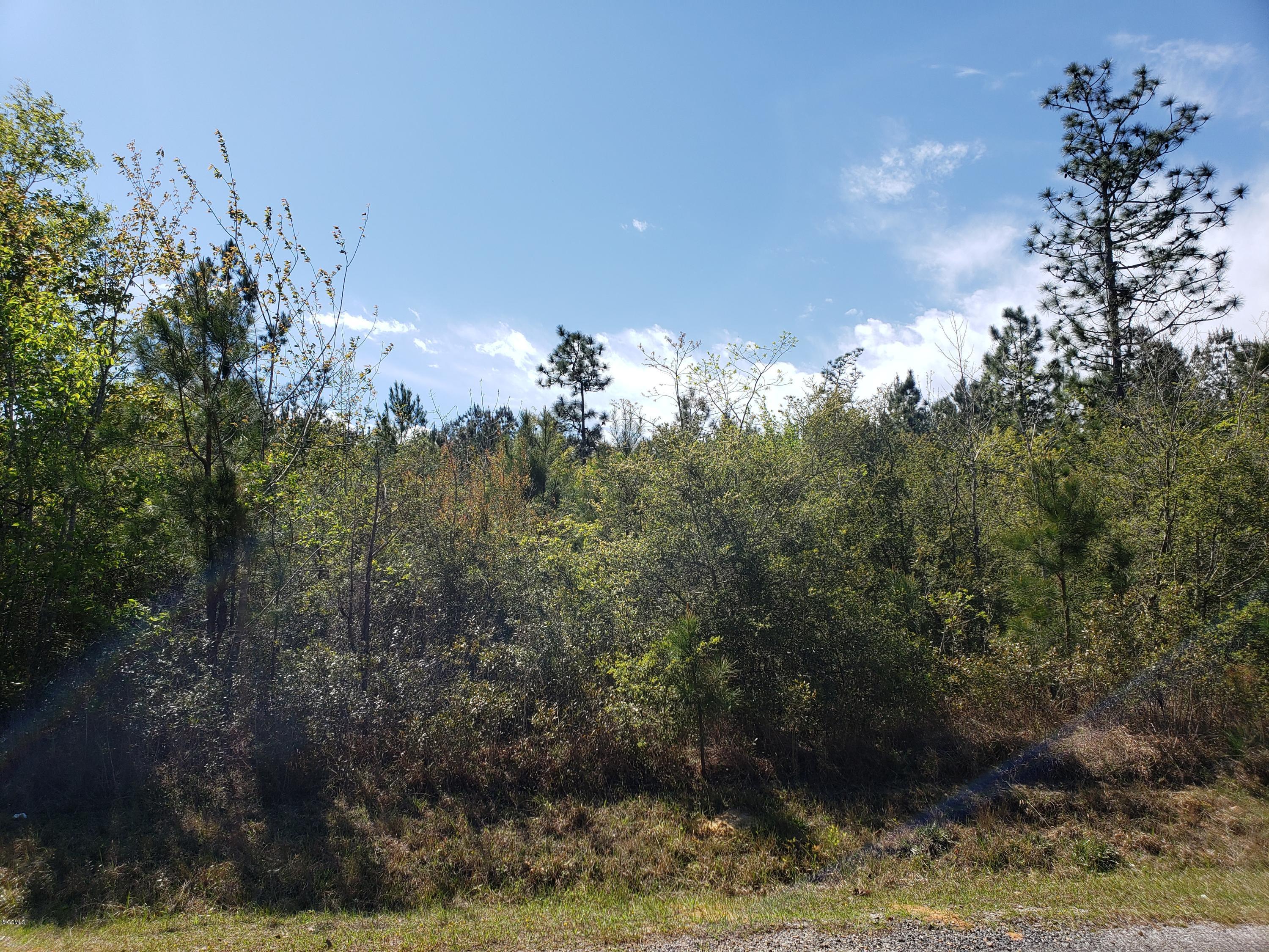 0 Baxterville Road Lumberton, MS 39455 - Photo 2 of 3 20190401_144217