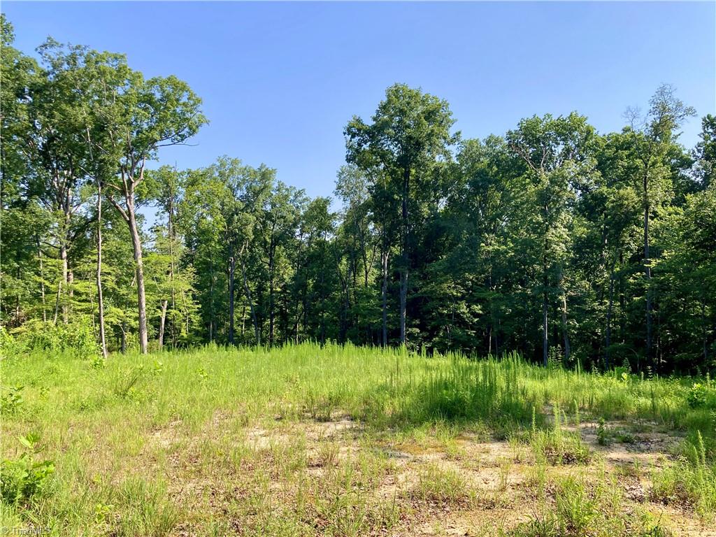 432 Big Tree Road High Point, NC 27265 - Photo 11 of 18 Clearing at the top and back of the property