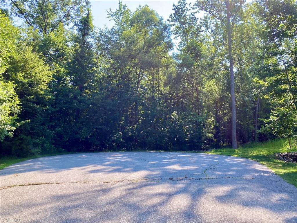 432 Big Tree Road High Point, NC 27265 - Photo 6 of 18 Only one driveway in the entire cul-de-sac!