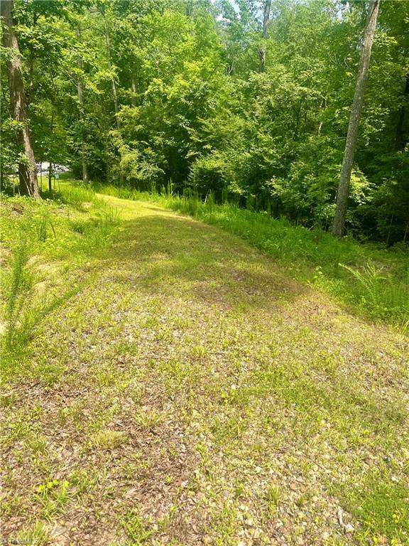 432 Big Tree Road High Point, NC 27265 - Photo 9 of 18 Cleared for driveway