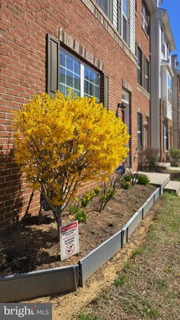 a front view of a house with trees