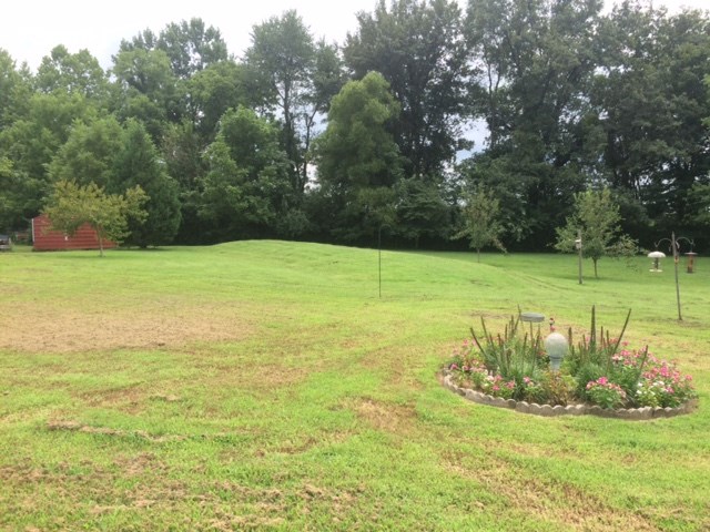 8725 Barter Road Mount Vernon, IN 47620 - Photo 15 of 16 Gallery Image 15