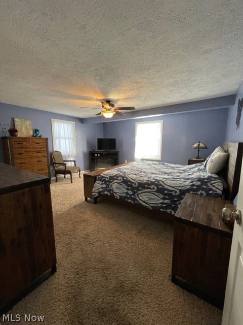 6035 River Road Madison, OH 44057 - Photo 15 of 28