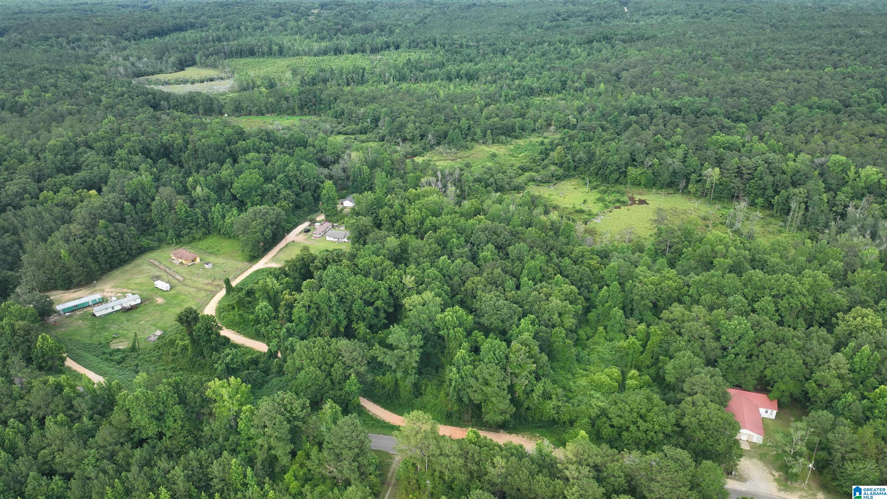 0 Midway Road Tuskegee, AL 36083 - Photo 4 of 30