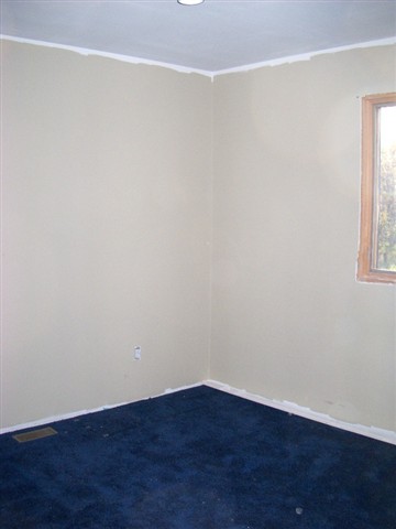 1325 Packs Road Carsonville, MI 48419 - Photo 11 of 14 31076721-10.JPG