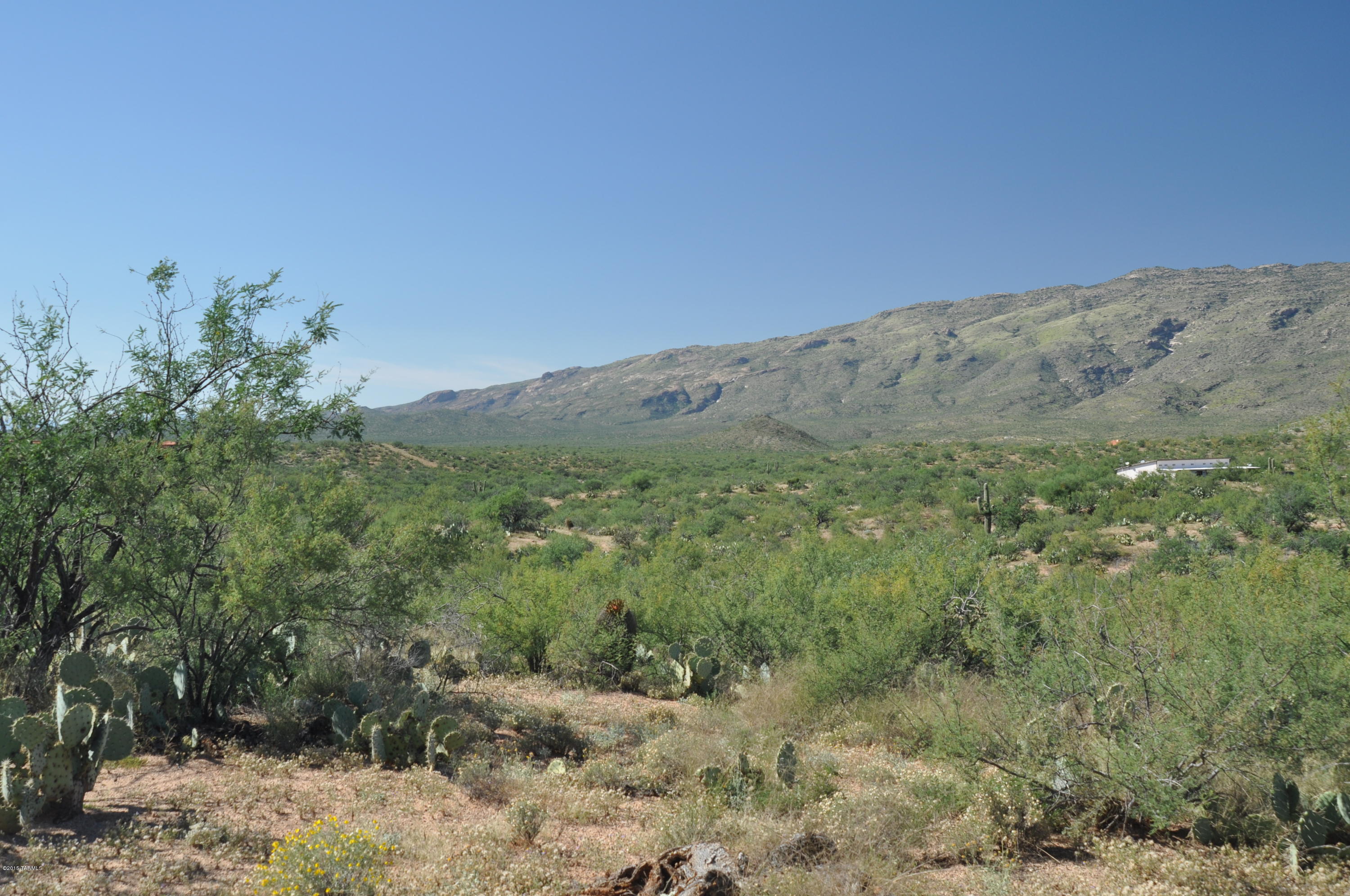 7542 South Pistol Hill Road Vail, AZ 85641 - Photo 10 of 16