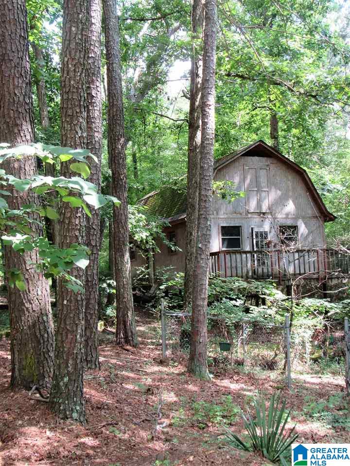 183 Green Acres Road Springville, AL 35146 - Photo 43 of 50