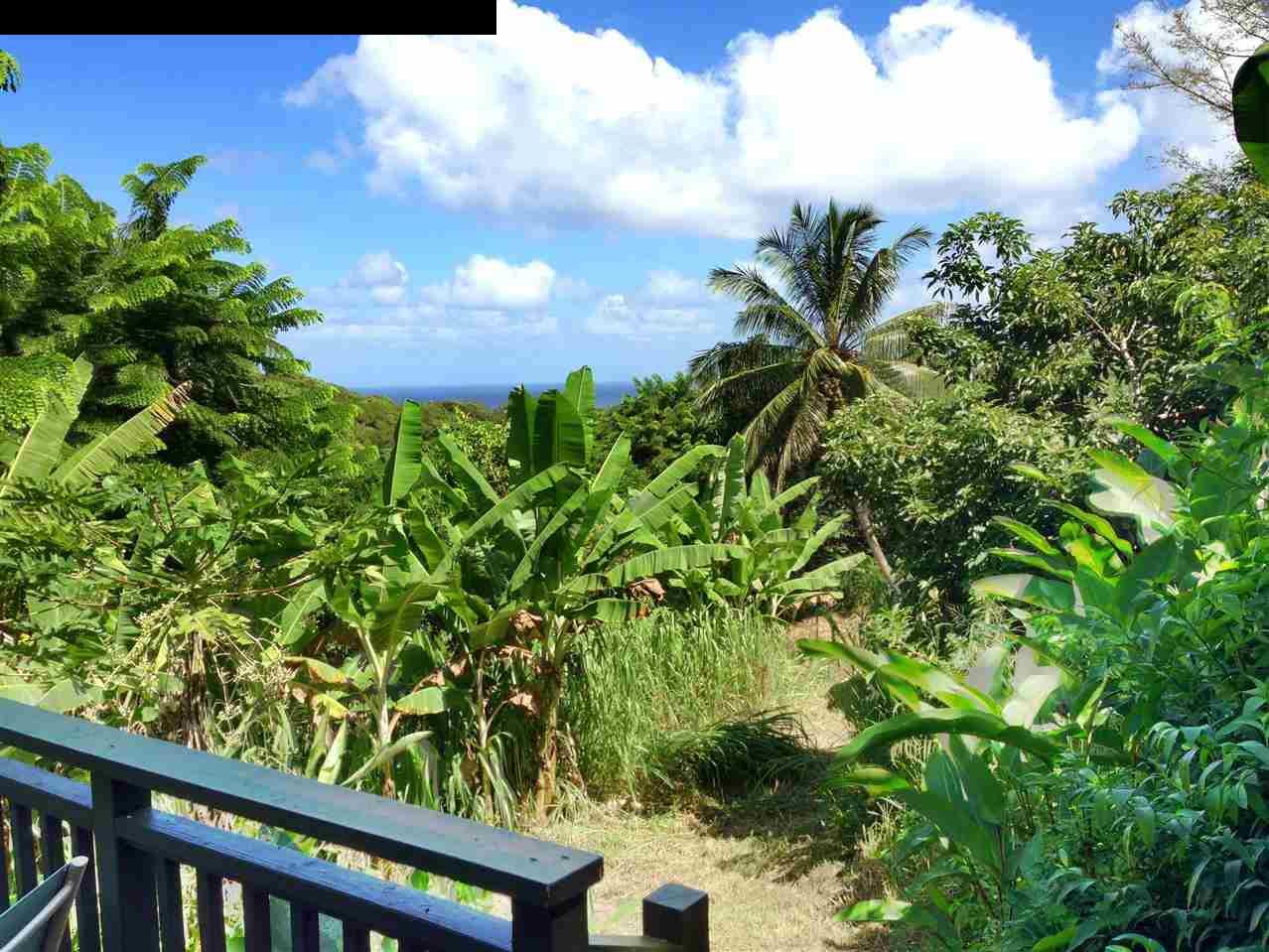 493 Kulike Road Haiku, HI 96708 - Photo 4 of 25 a view of a garden