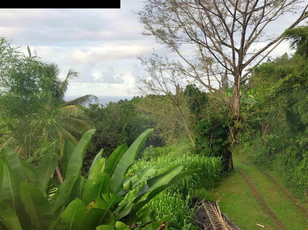493 Kulike Road Haiku, HI 96708 - Photo 9 of 25 a view of a garden