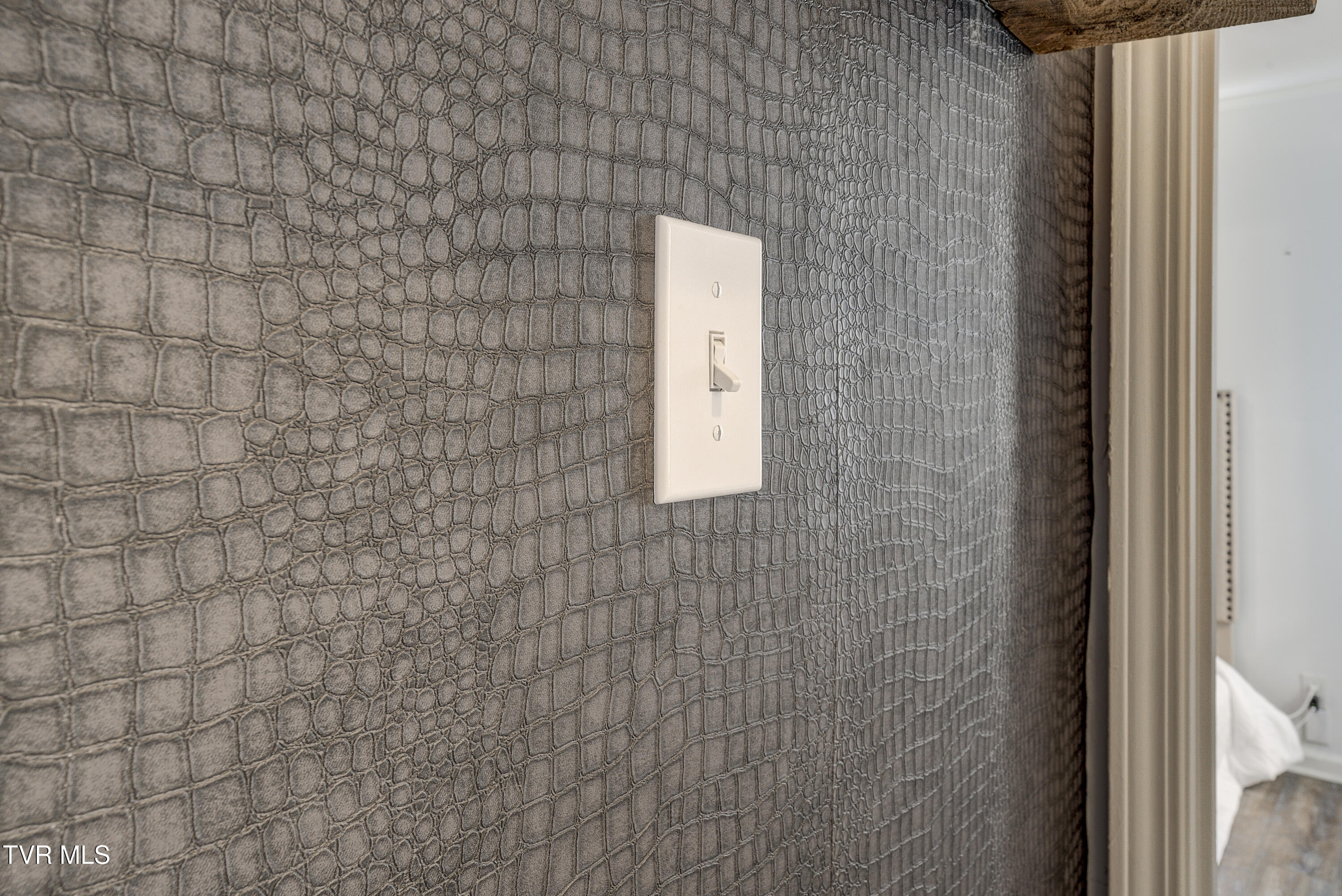 110 Hopeville Avenue Greeneville, TN 37745 - Photo 32 of 57 Hopeful-27