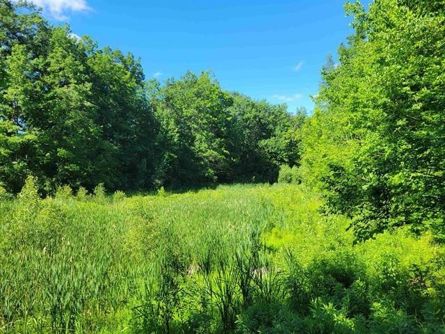 470 White Road Gladwin, MI 48624 - Photo 5 of 24
