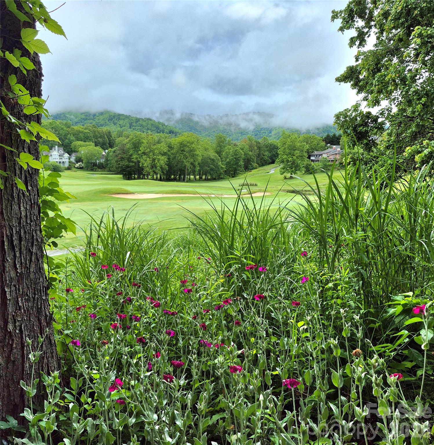 141 Amblers Knl Road Weaverville, NC 28787 - Photo 48 of 48 a view of a garden with a building in the background