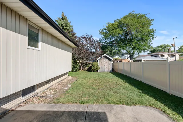 a view of a backyard with plants and a tree