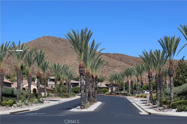 a palm tree sitting in front of a building with palm trees