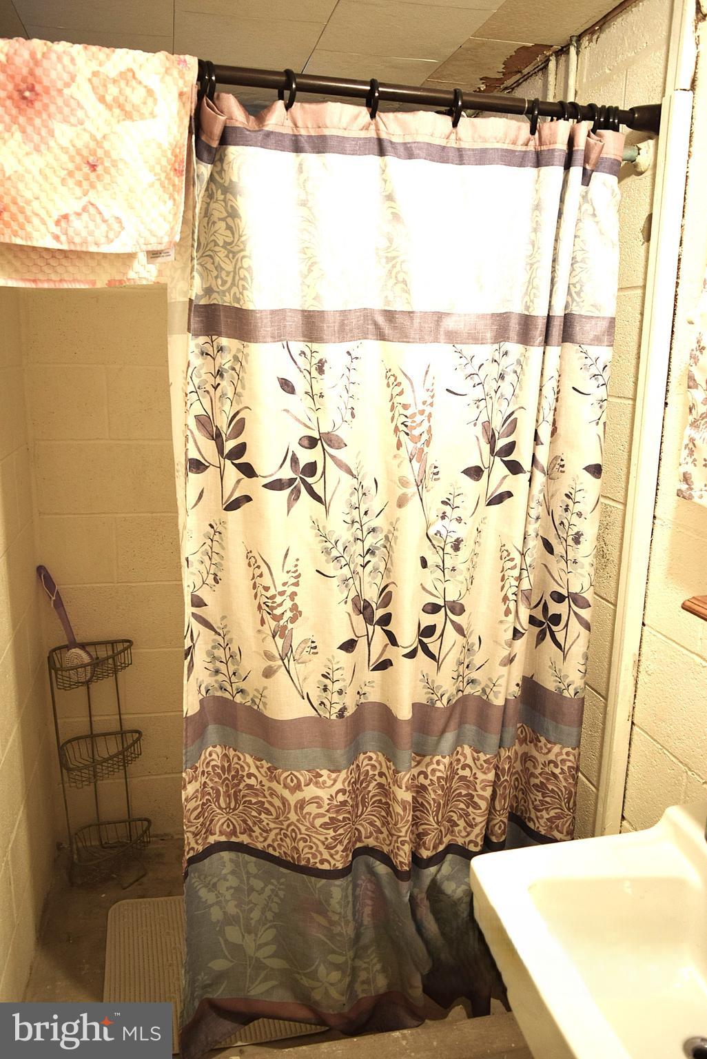 295 Bowman Road Hanover, PA 17331 - Photo 26 of 28 basement shower