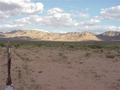 0 Rodeo Ranch Rodeo, AZ 88056 - Photo 3 of 3