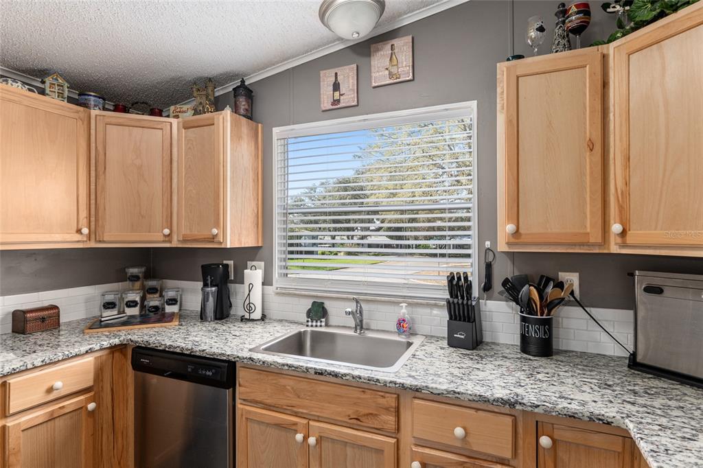 1727 Hilton Head Boulevard Lady Lake, FL 32159 - Photo 7 of 39 a kitchen with granite countertop a sink a counter space and cabinets