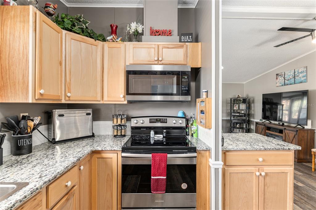 1727 Hilton Head Boulevard Lady Lake, FL 32159 - Photo 8 of 39 a kitchen with stainless steel appliances granite countertop a stove and a sink