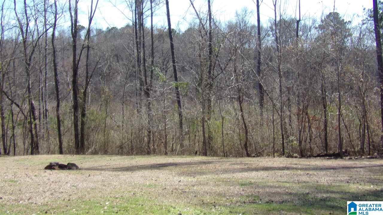 13691 Hosmer Road Vance, AL 35490 - Photo 5 of 50