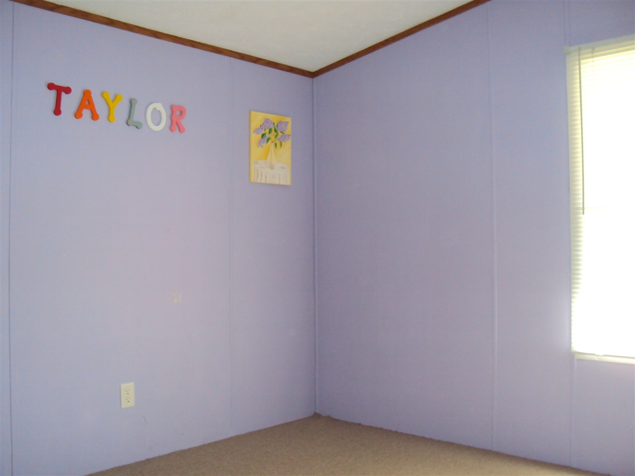 2379 West Orland Road Angola, IN 46703 - Photo 20 of 28 Gallery Image 20