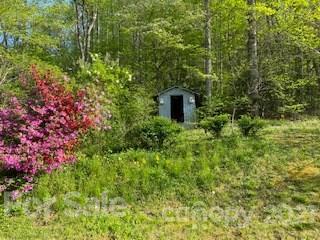 387 Cowan Valley Road Sylva, NC 28779 - Photo 8 of 24 Gallery Image 8