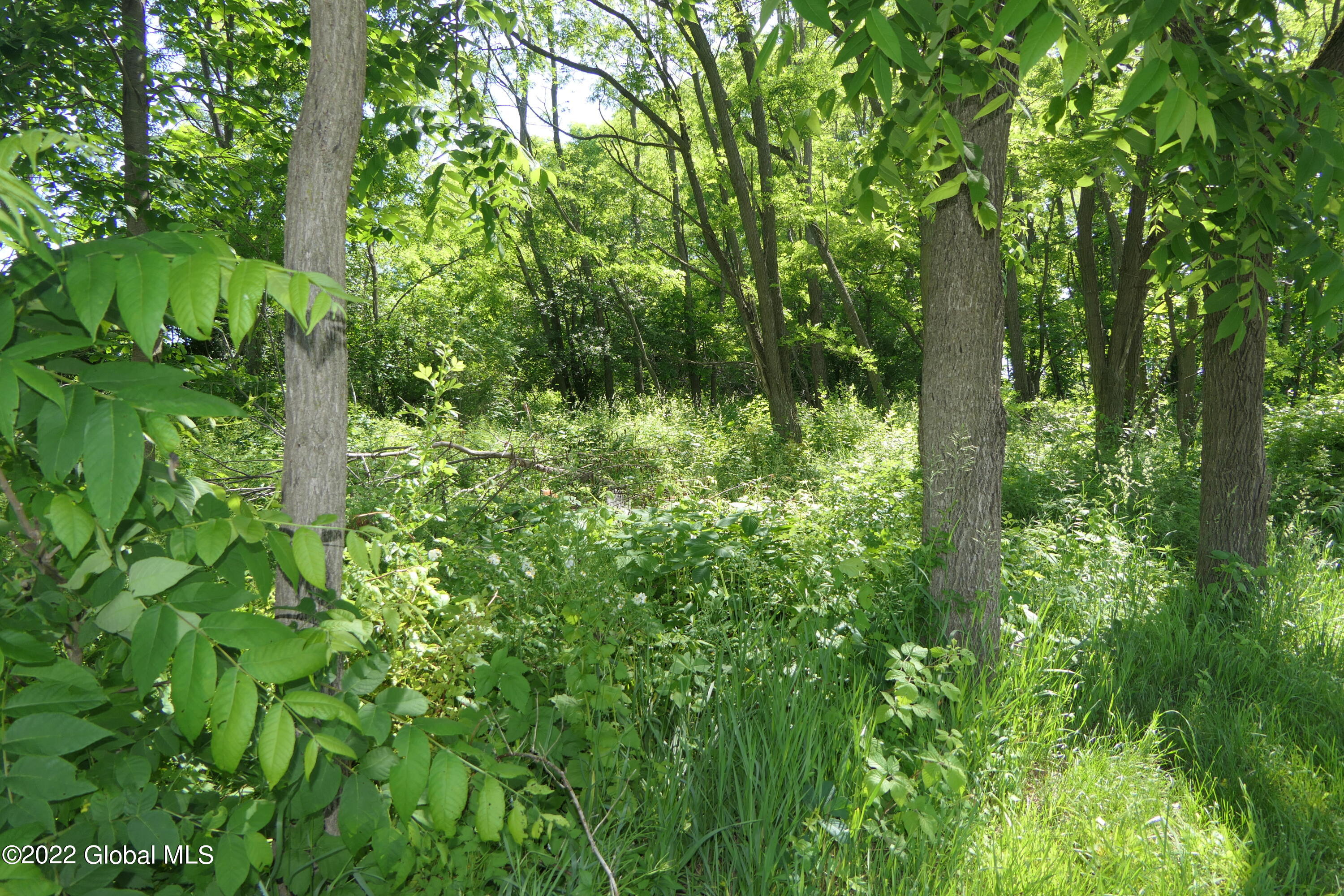 539 Mapletown Road Canajoharie, NY 13317 - Photo 29 of 34 P1040751