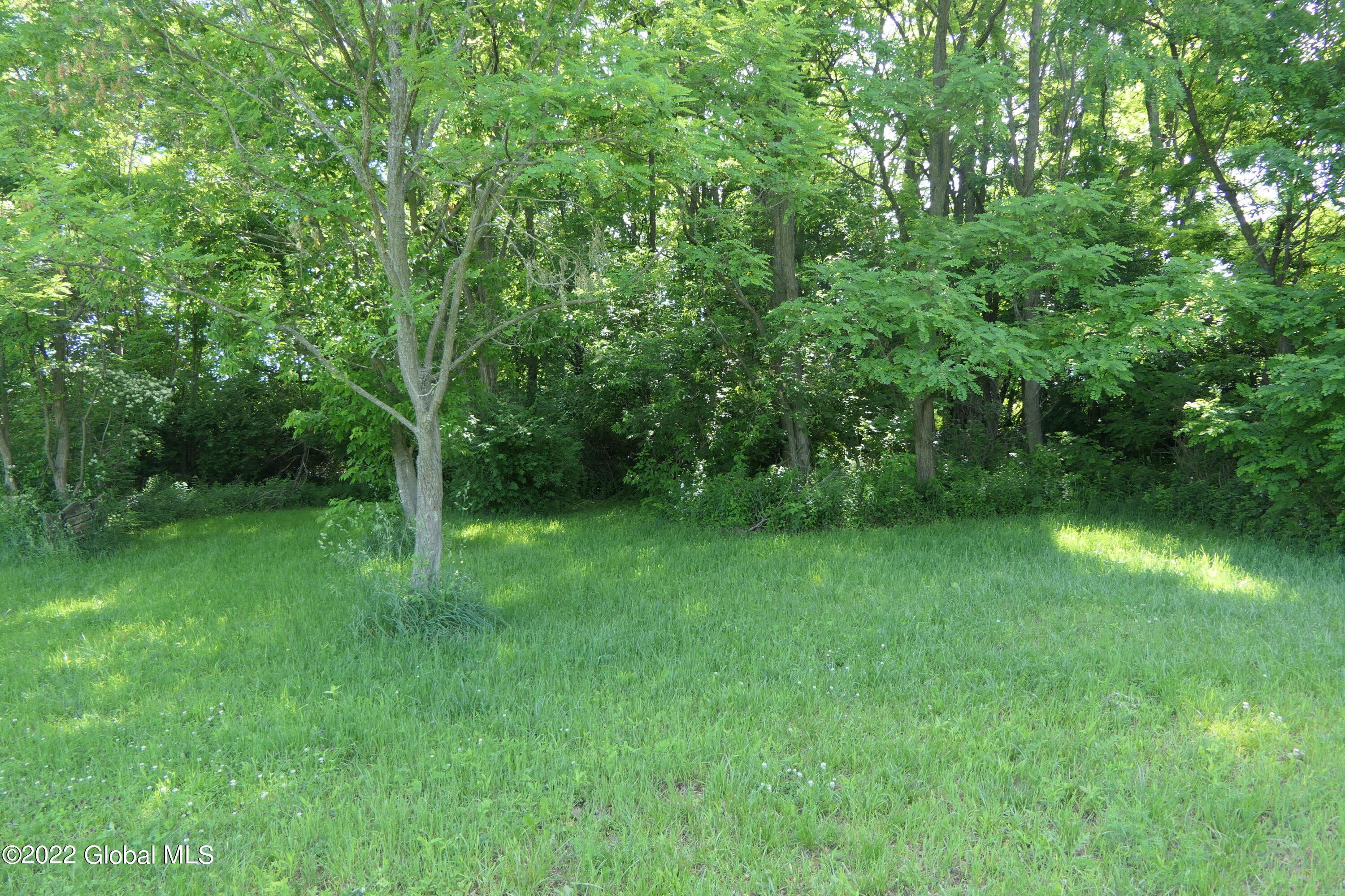 539 Mapletown Road Canajoharie, NY 13317 - Photo 31 of 34 P1040728