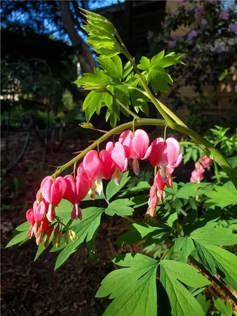 $950,000 | 707 West Columbia Street, Chippewa Falls, WI 54729