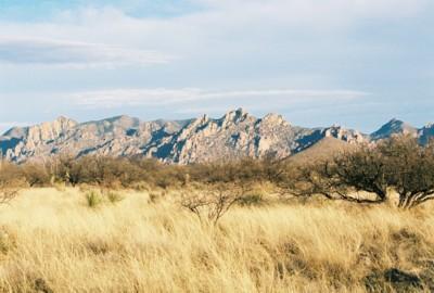 160 East Diamondback Road St. David, AZ 85630 - Photo 4 of 7 Gallery Image 4