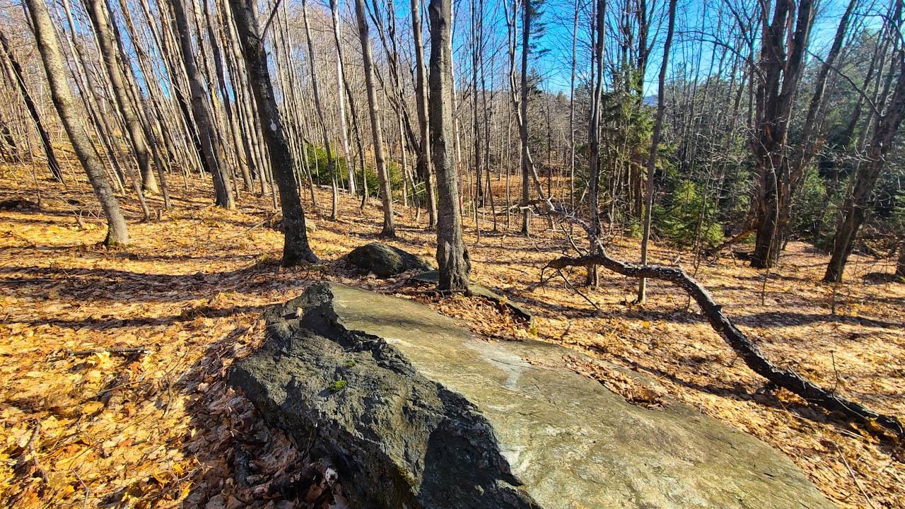 0 Stagecoach Road Waitsfield, VT 05673 - Photo 15 of 40
