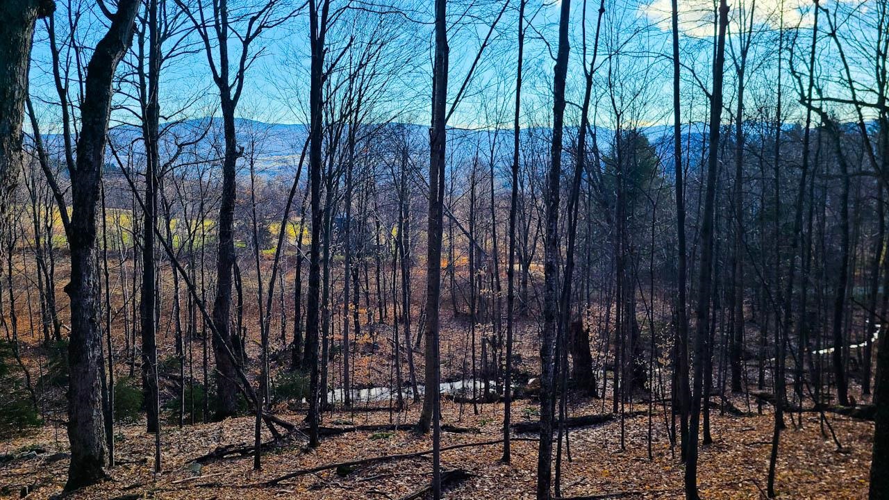 0 Stagecoach Road Waitsfield, VT 05673 - Photo 7 of 40