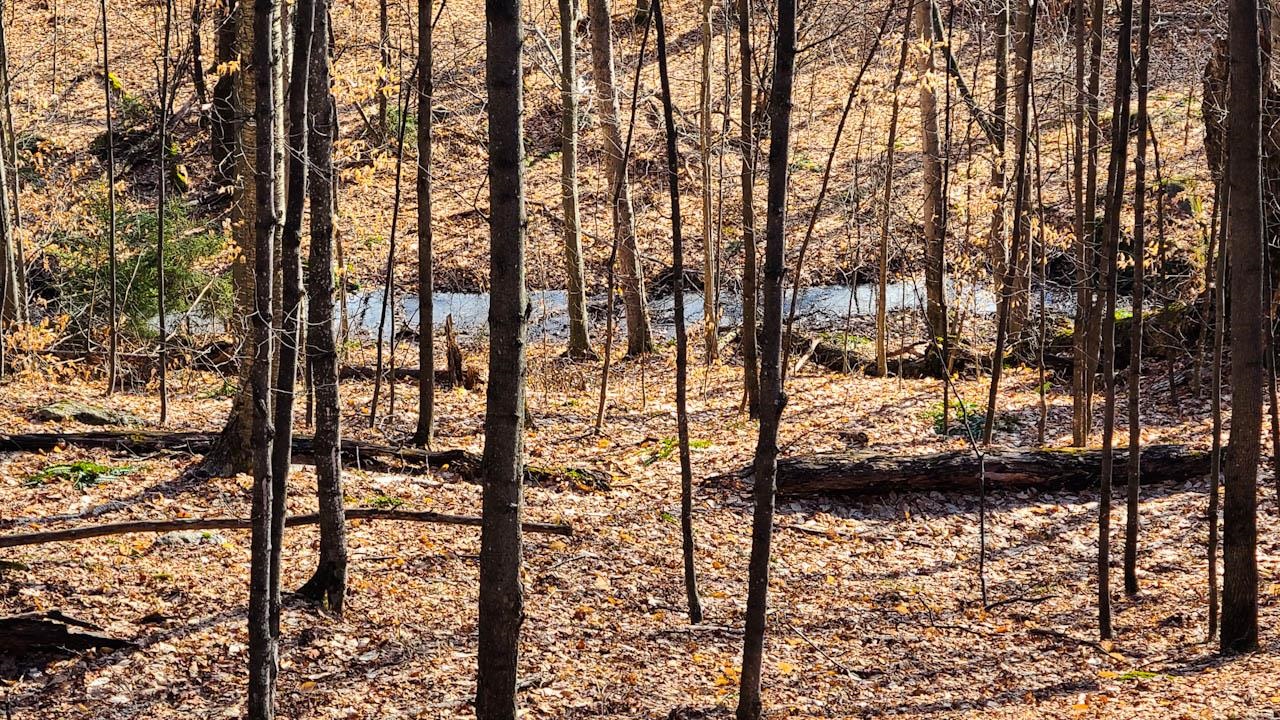 0 Stagecoach Road Waitsfield, VT 05673 - Photo 8 of 40