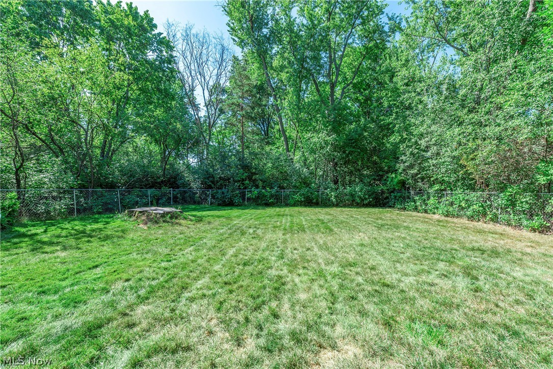 6938 Brookside Road Independence, OH 44131 - Photo 46 of 48