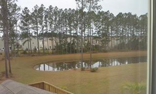 227 Decatur Drive Summerville, SC 29486 - Photo 40 of 44 2015122195102748