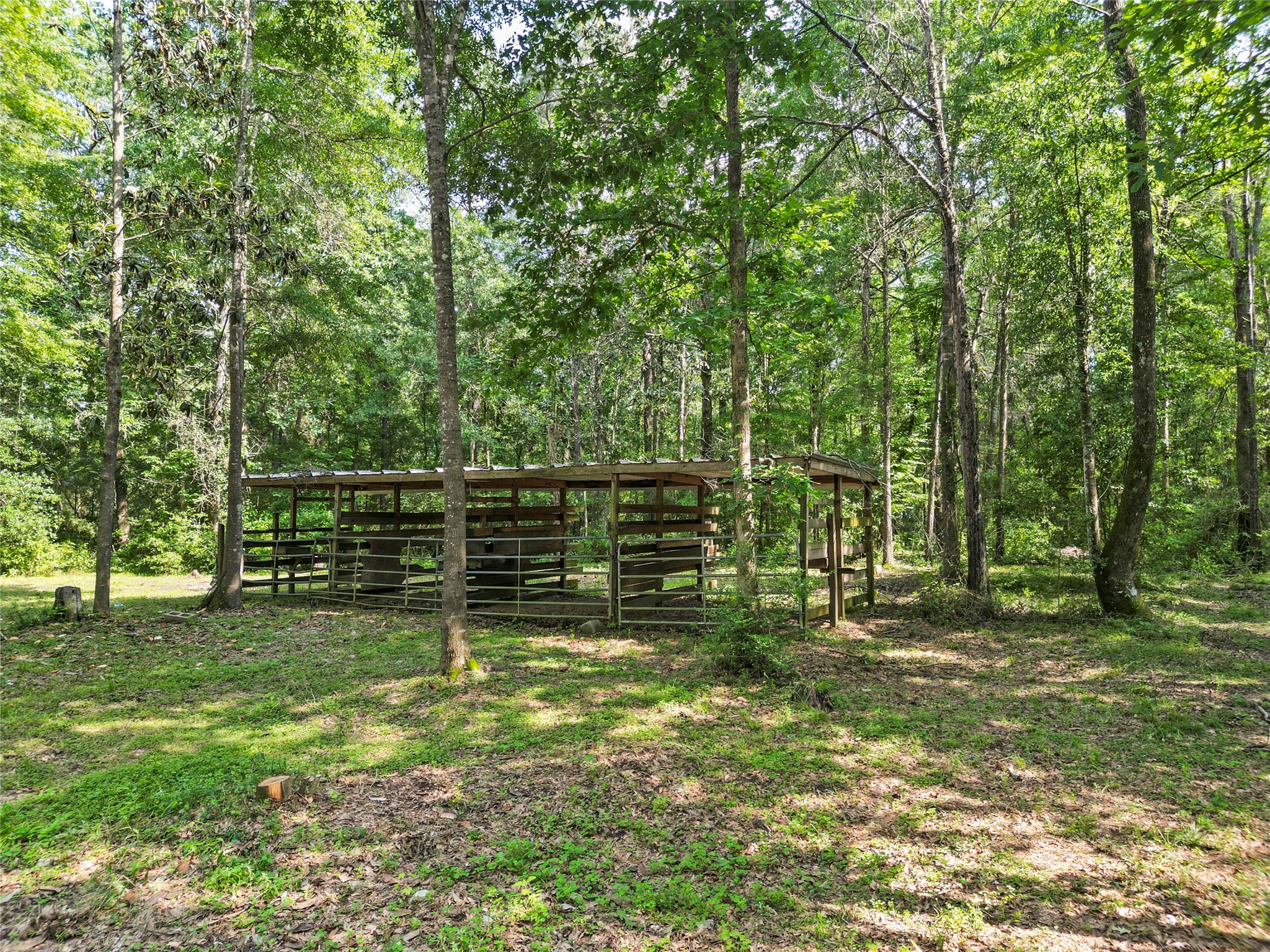 553 County Road 370 Splendora, TX 77372 - Photo 35 of 41 a backyard of a house with lots of green space and garden